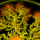 Illustration for article titled How the Architecture of Our Buildings Shapes the Germs Around Us